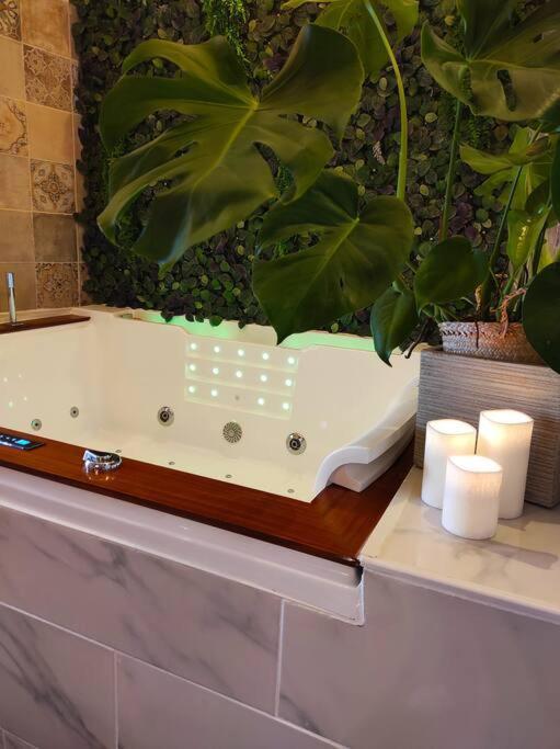 Ferienhaus La Agreable Avec Jacuzzi/balneo Saint-Jean-dʼAngély