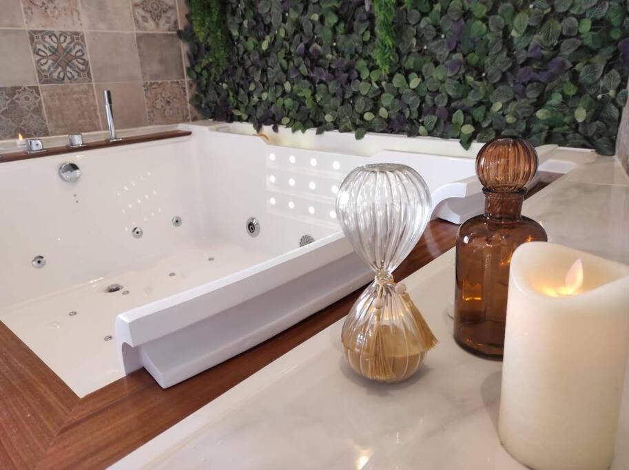 La Agreable Avec Jacuzzi/balneo Hébergement de vacances