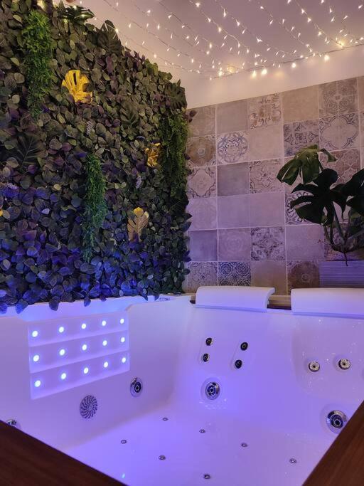 La Agreable Avec Jacuzzi/balneo