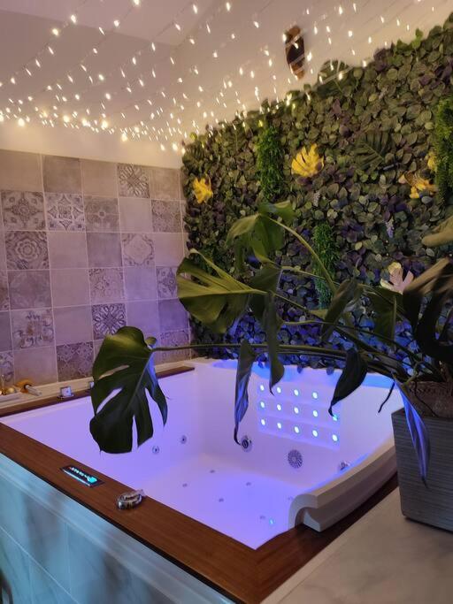 La Agreable Avec Jacuzzi/balneo Hébergement de vacances *