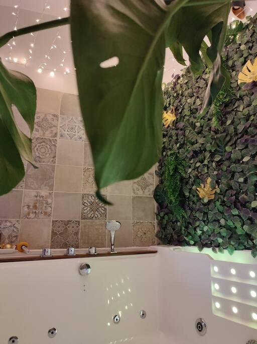 La Agreable Avec Jacuzzi/balneo Hébergement de vacances Saint-Jean-dʼAngély